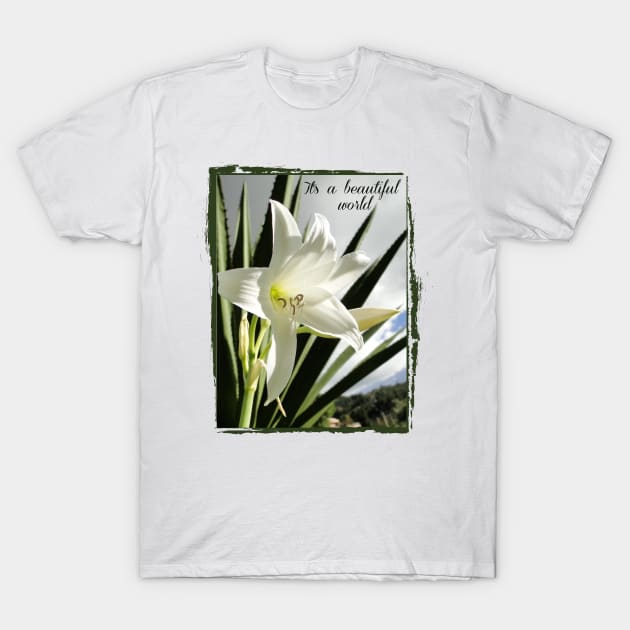 beautiful world with white amaryllis into vintage frame T-Shirt by Alina